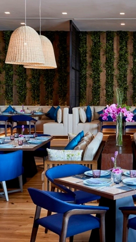 Mobile banner element 1